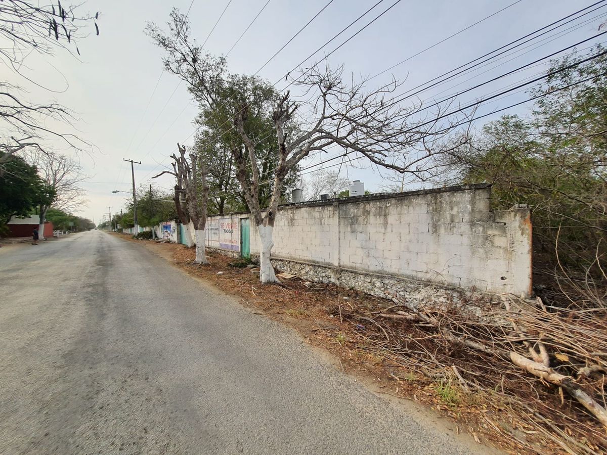 LAND FOR SALE IN CONKAL, MERIDA YUCATAN - foto 3
