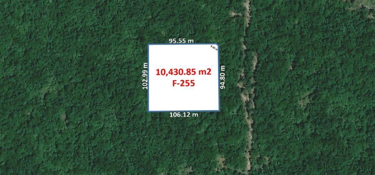 Terreno de 10,430.85 m2 en Suytunchen-Sierra Papacal Mérida Yucatán