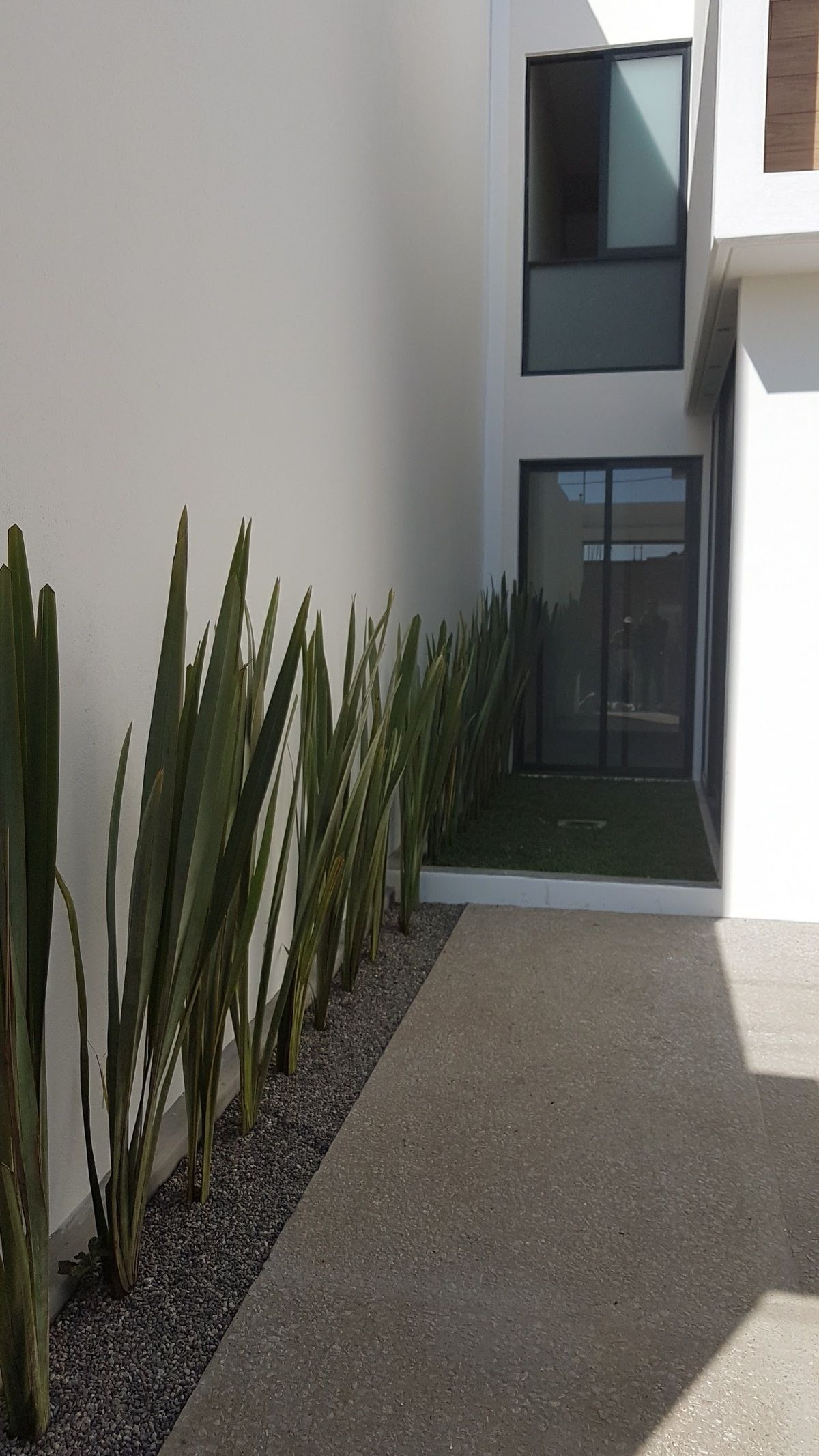 3 de 18: Cochera con plantas