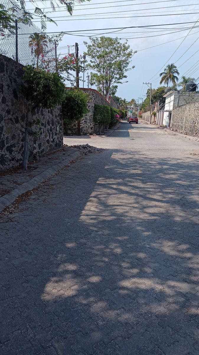 11 de 11