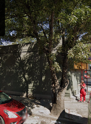 Local comercial en Renta en San Pablo Tepetlapa