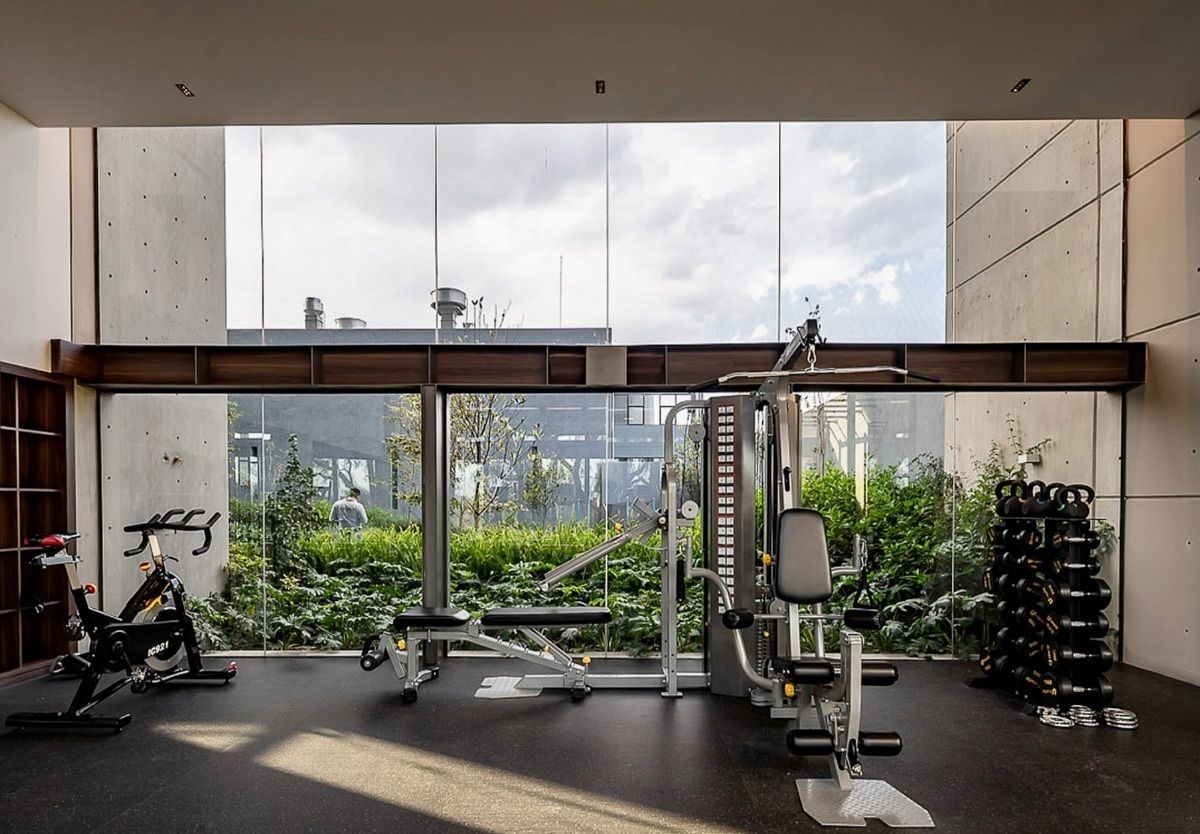 Gimnasio