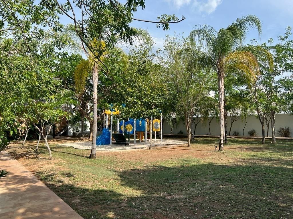 24 de 29