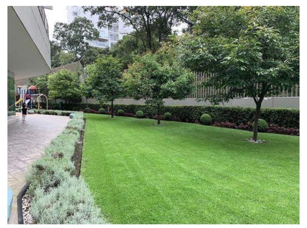 Departamento en Santa Fe Cuajimalpa, Cuajimalpa de Morelos, foto 24 de 31