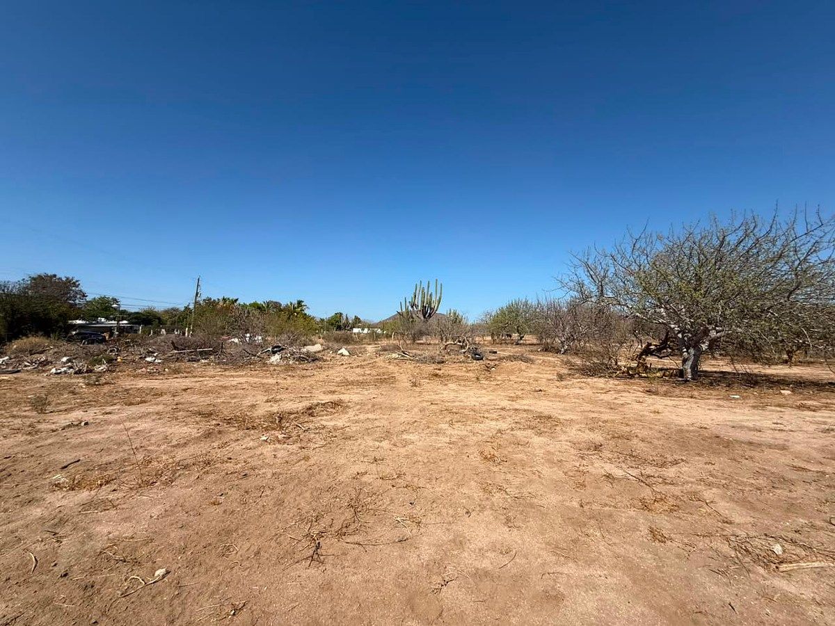 Lote em Calafia, La Paz, foto 3 de 5
