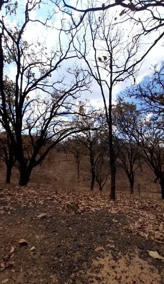 Terreno en venta, Tequila centro, Tequila, Jalisco Casas y Terrenos