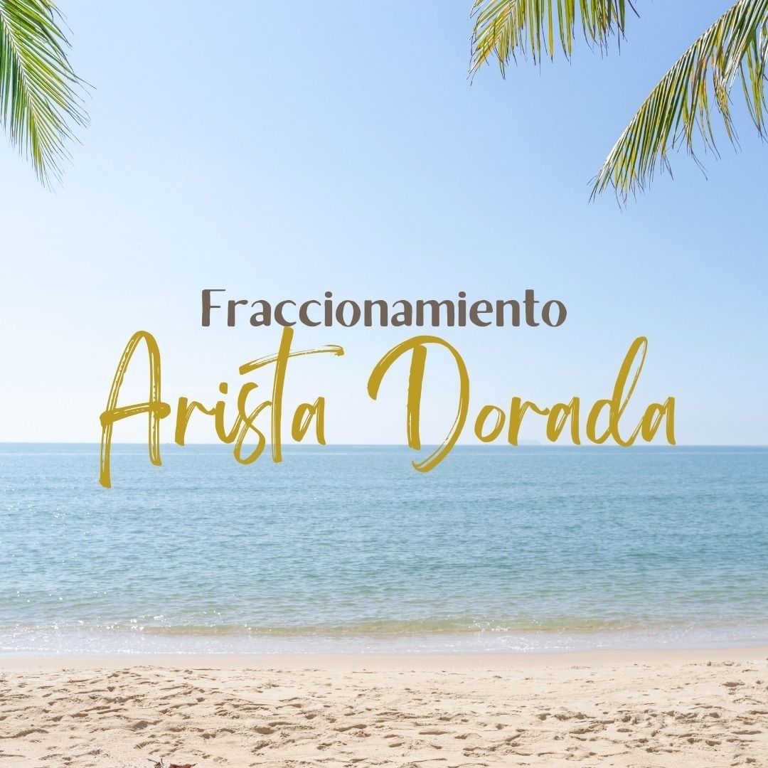 1 de 23: Presentación