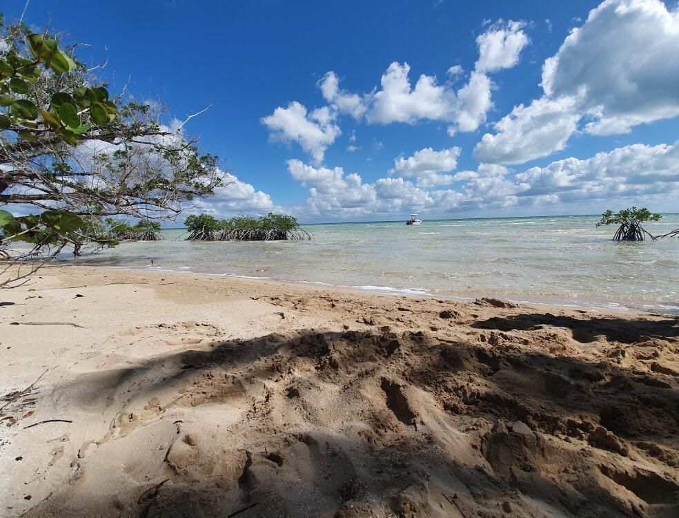 Isla en venta en el Caribe Mexicano - foto 2