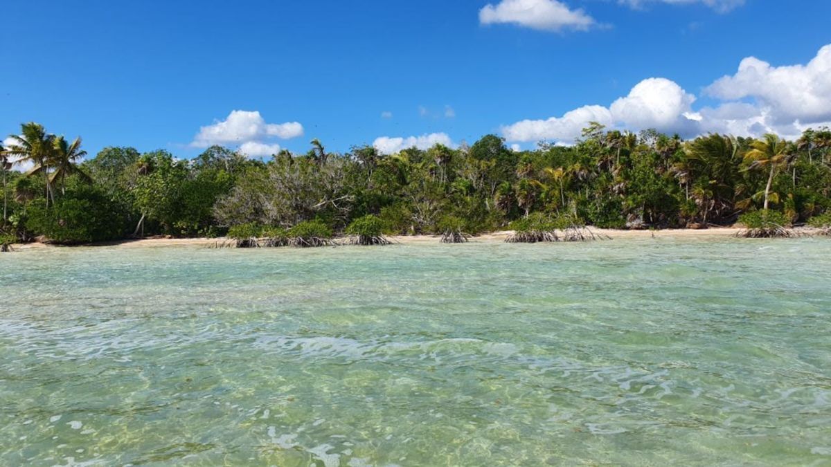 Isla en venta en el Caribe Mexicano - foto 4