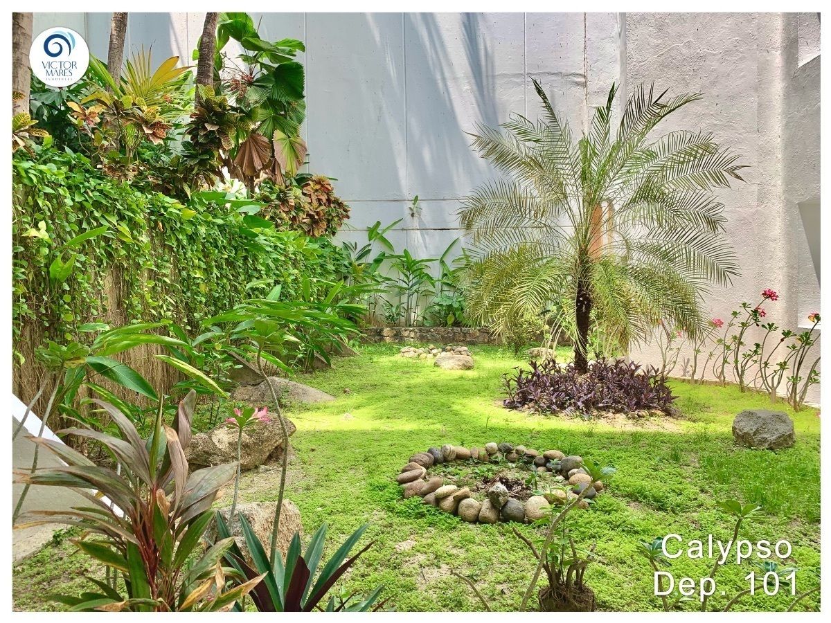 24 de 26: Jardines