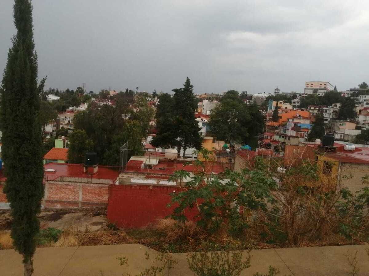 13 de 13