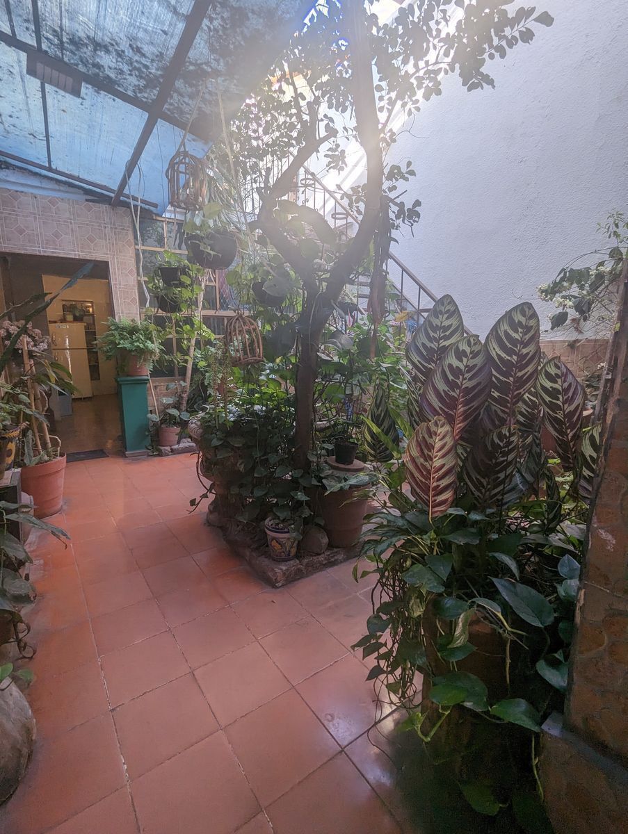 5 de 10