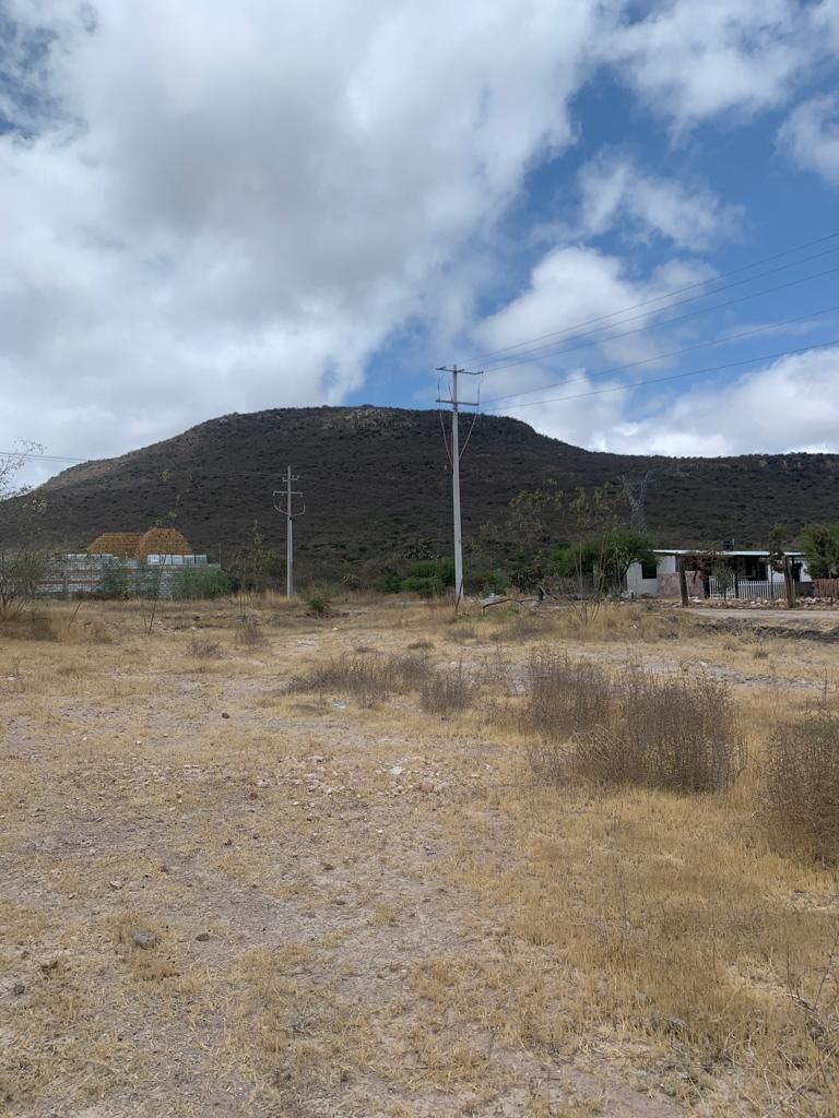 4 de 10