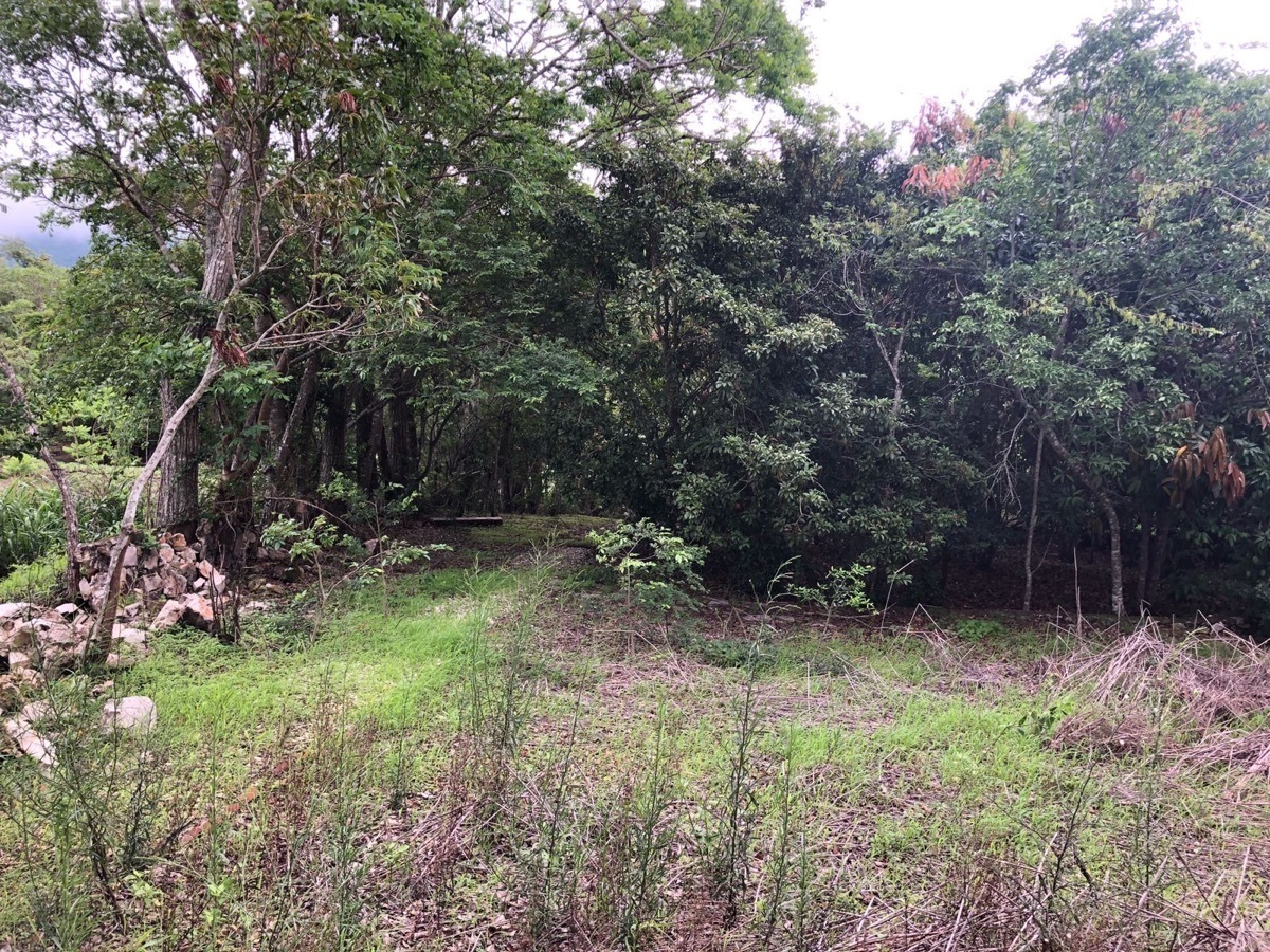 6 de 36