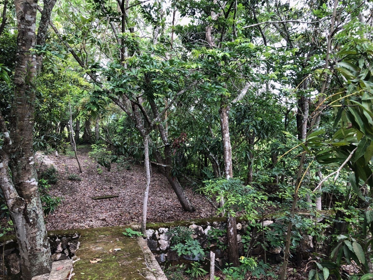 13 de 36