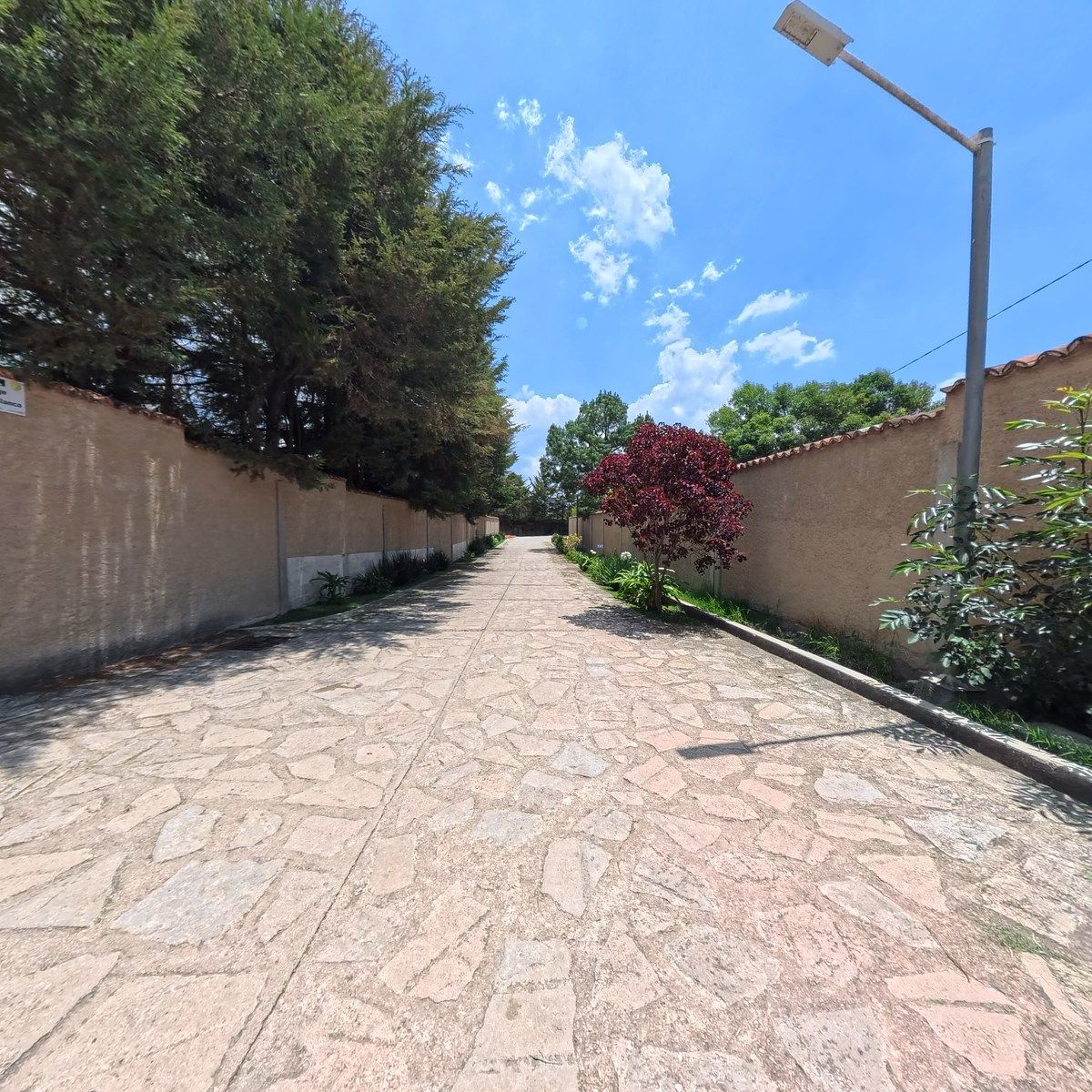 Lote em Fátima, San Cristóbal de Las Casas, foto 17 de 20