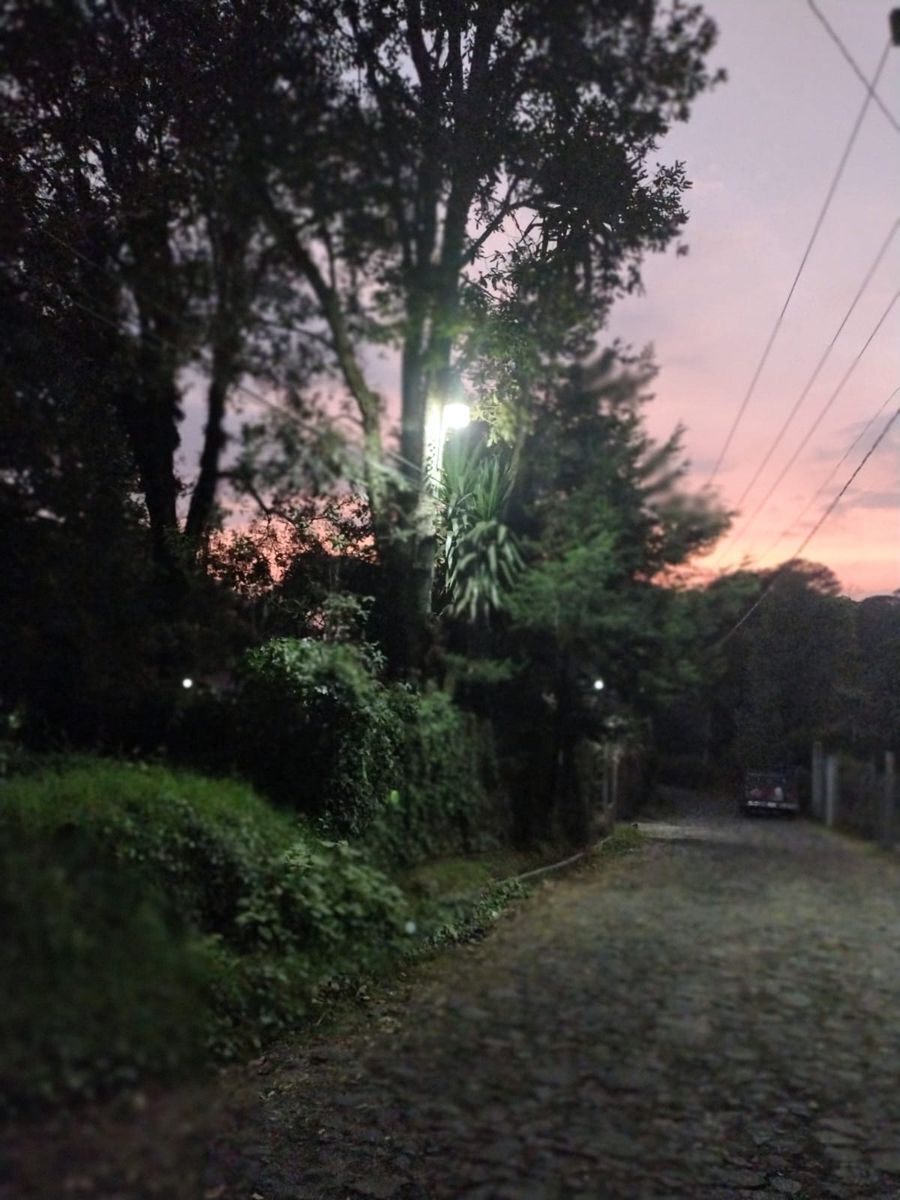 5 de 6