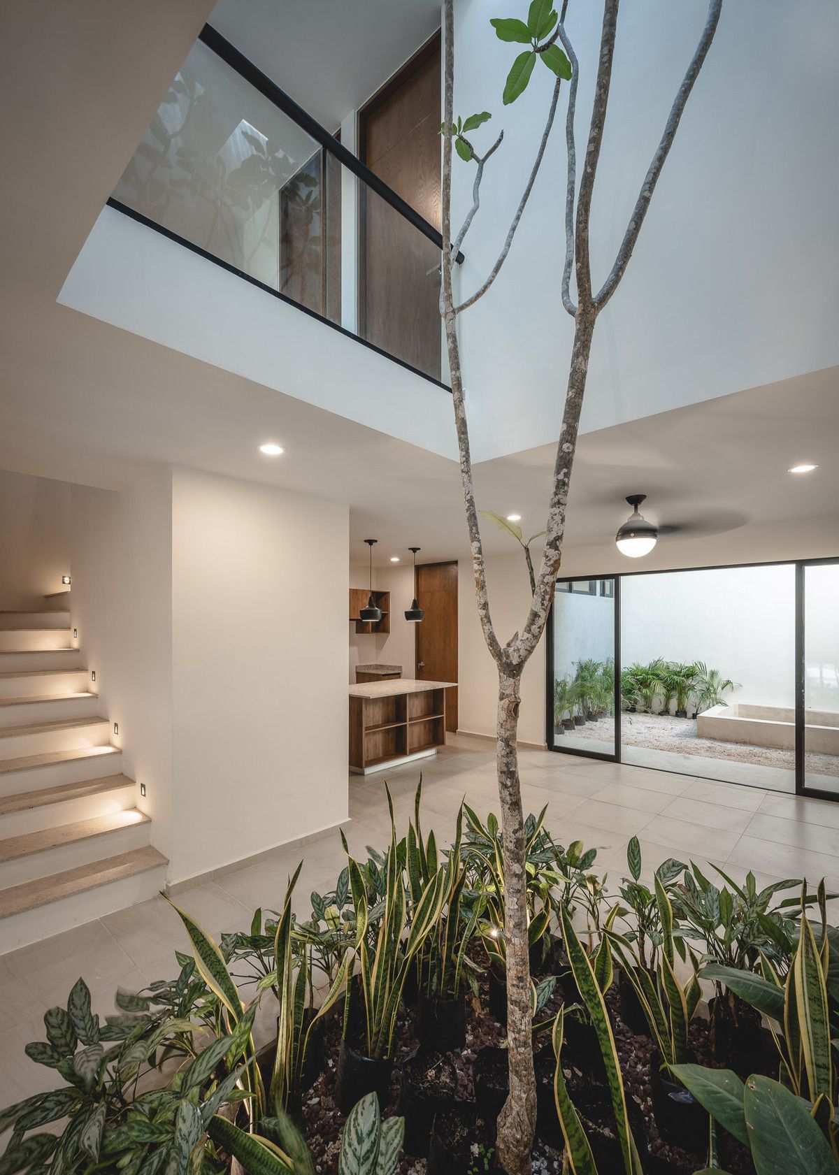 2 of 9: JARDÍN INTERIOR