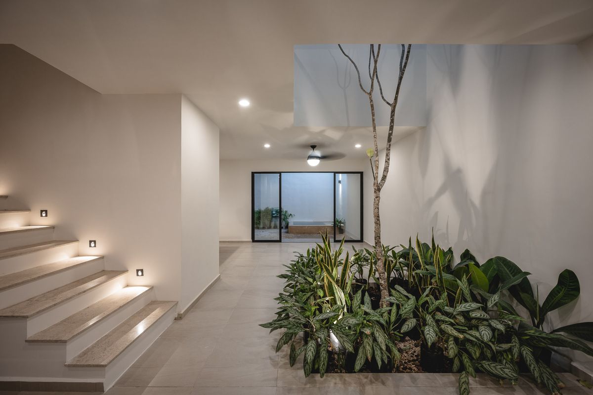 3 of 9: JARDÍN INTERIOR