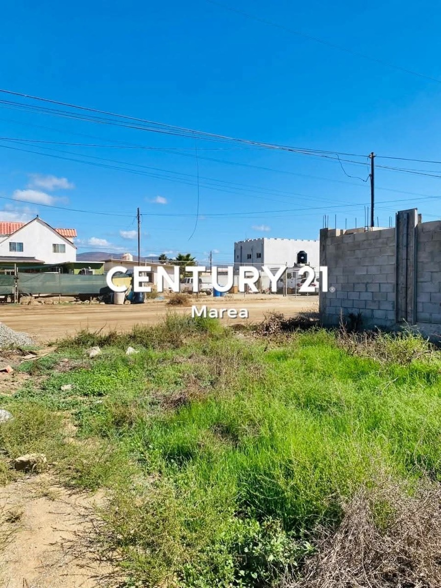 3 de 9