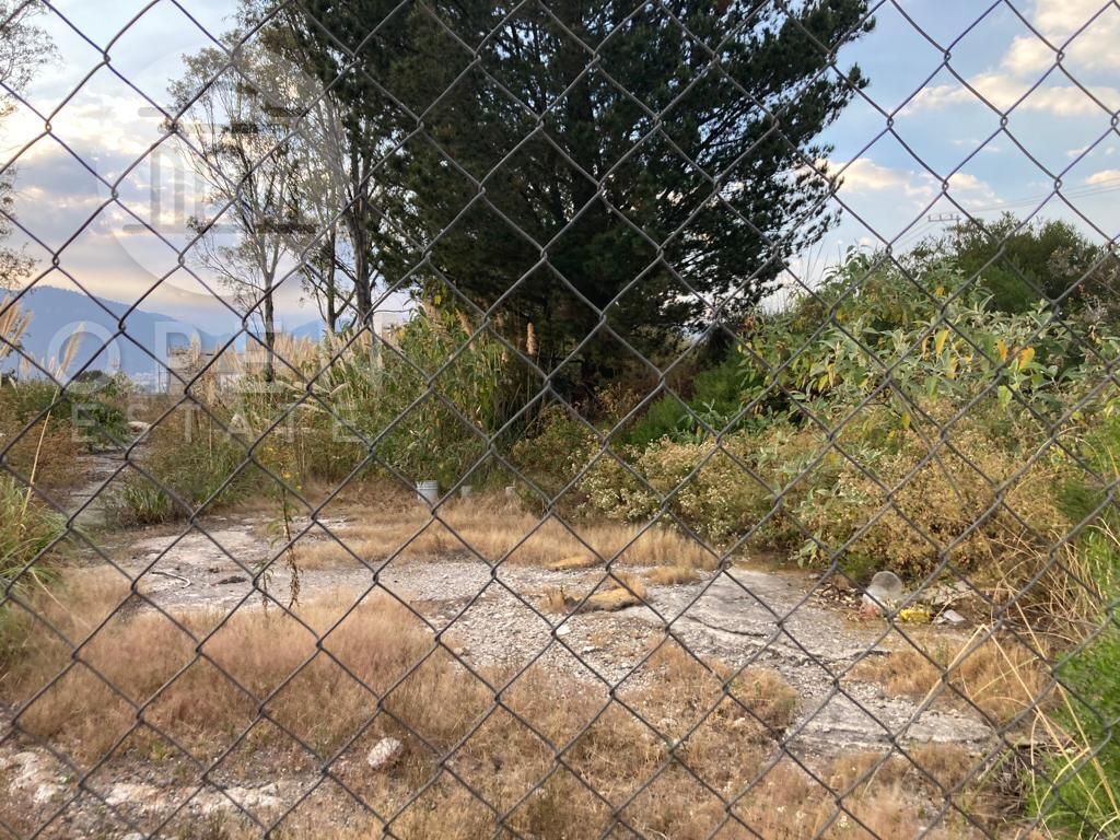 2 de 20