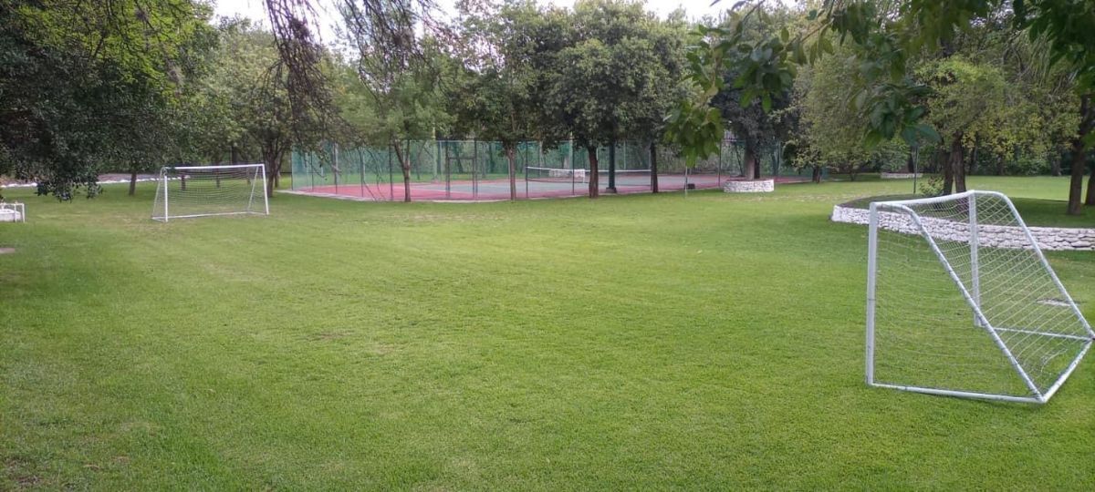 Imagen 9 de 10