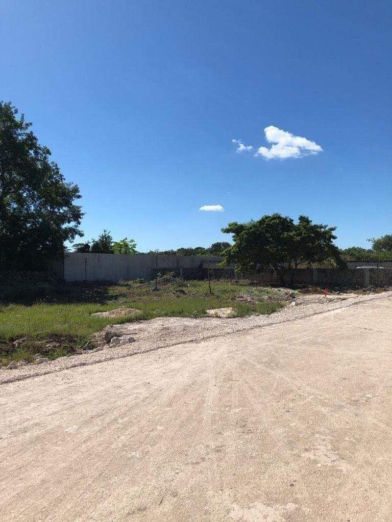 Terreno sobre carretera en Castamay Campeche.