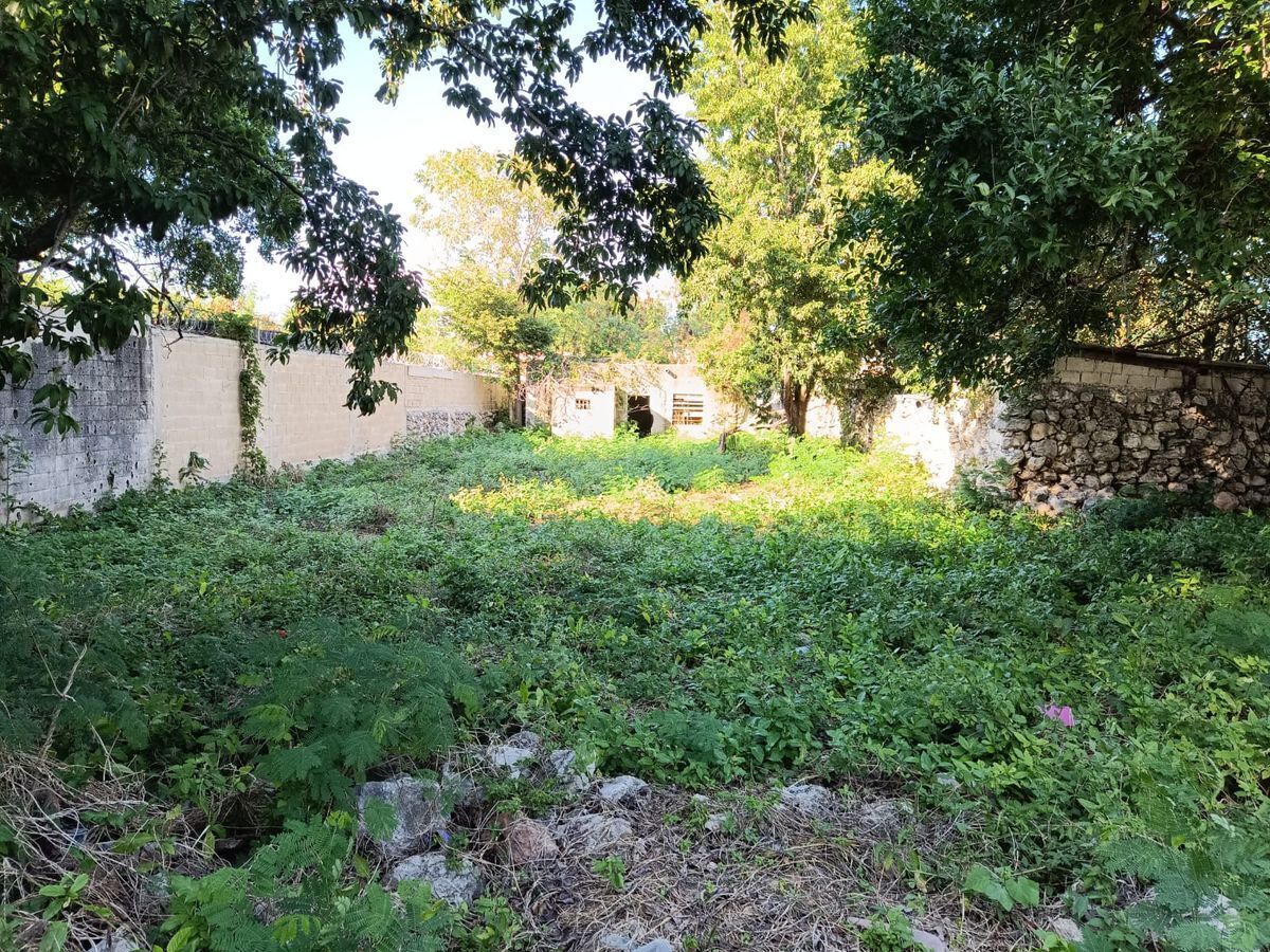 9 de 17