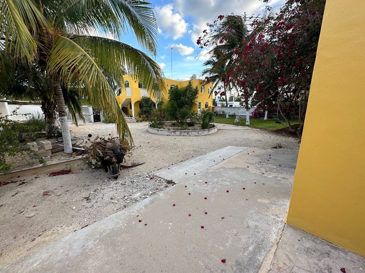 11 de 49