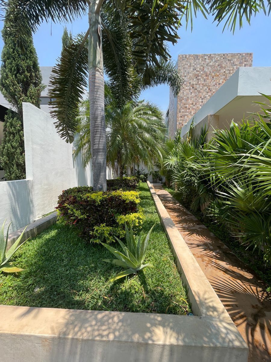 3 de 38: Entrada principal
