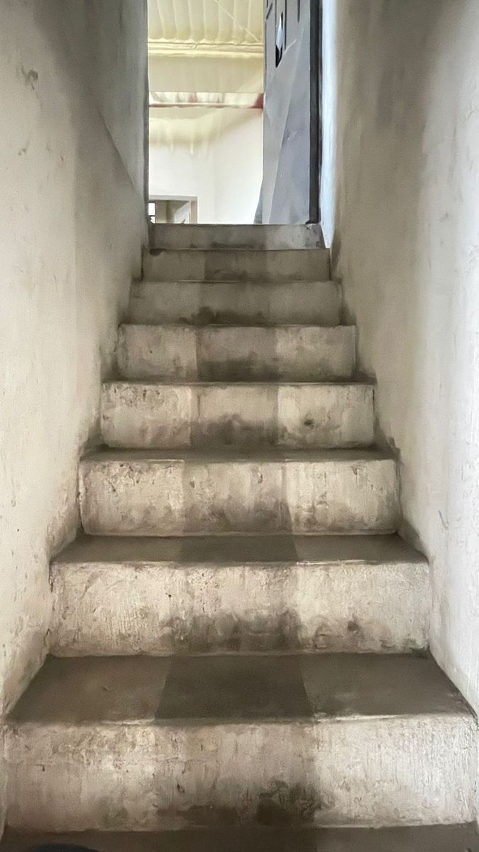 4 de 19