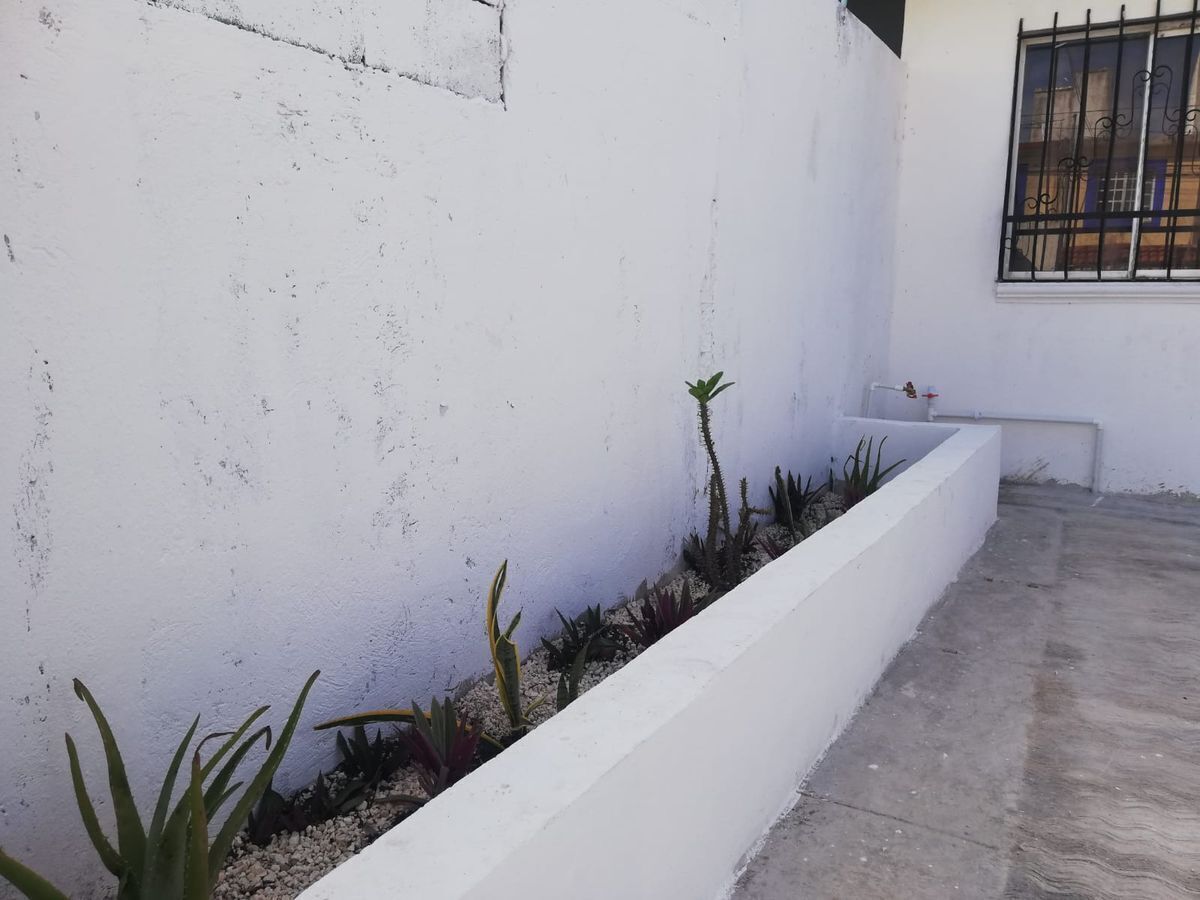 2 de 18: Jardinera de estacionamiento o patio frontal