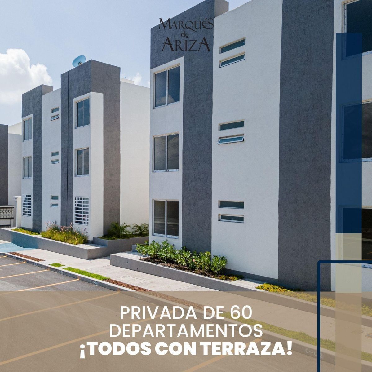 3 de 19