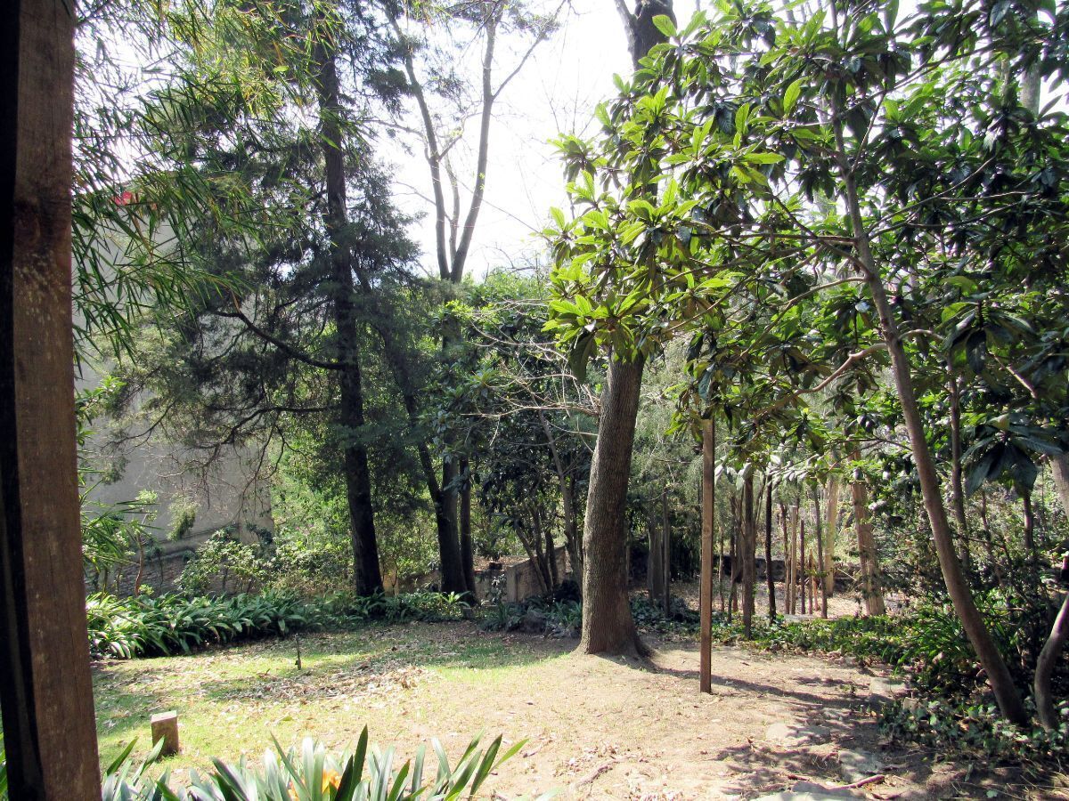 26 de 27: Terreno en Venta en Olivar de los Padres Rayo Vende ®