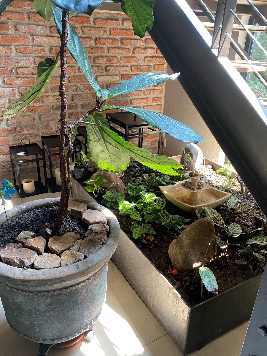 7 de 35