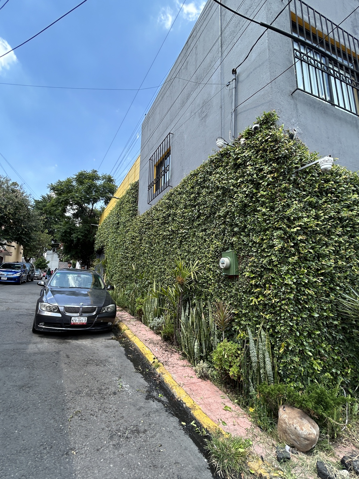 25 de 36