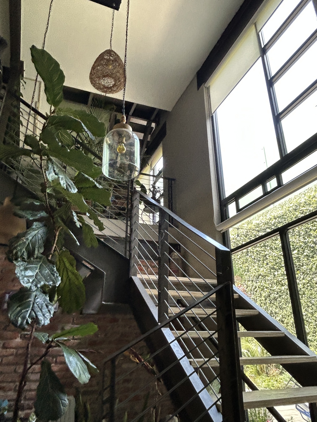 29 de 36