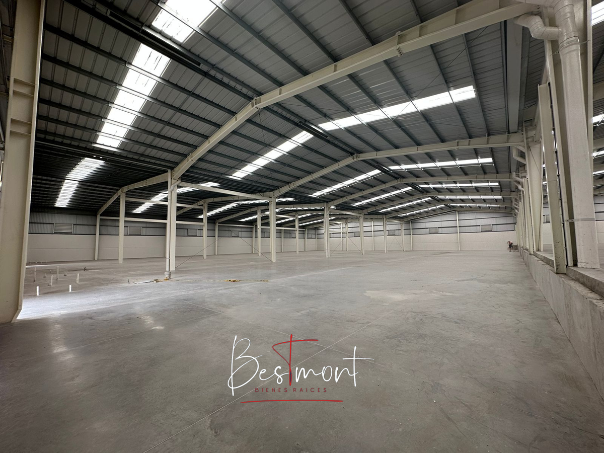4 of 13: Interior Bodegas