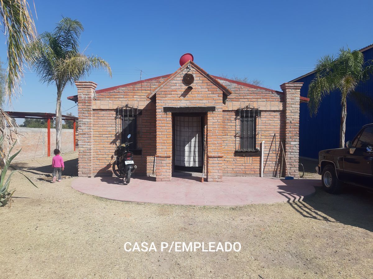 26 de 33