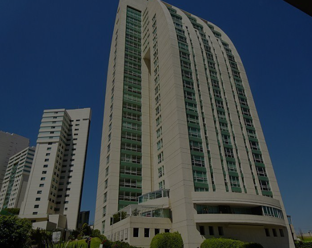 1 de 7