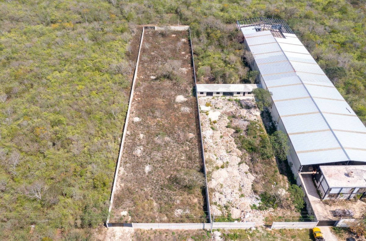 Terreno de 4,200 m2 en San Diego Cutz, Conkal, Merida