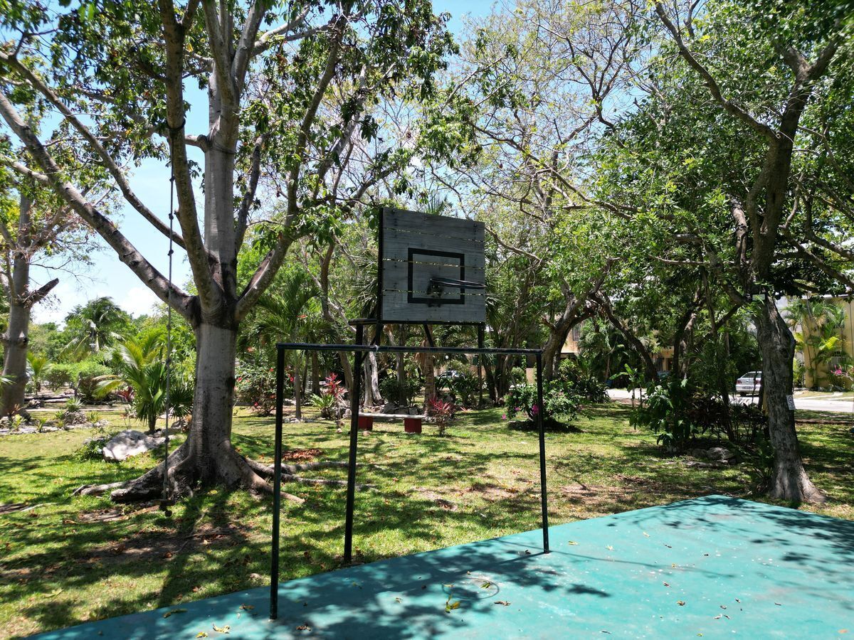 42 de 50