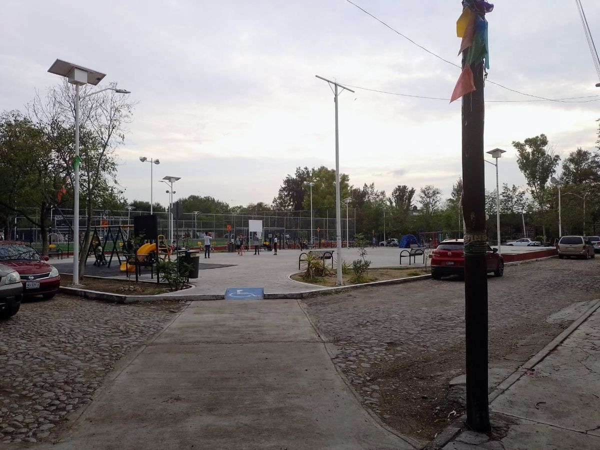 11 de 13