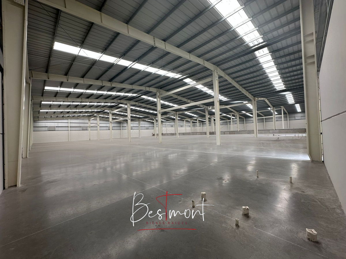 2 de 8: Interior Bodegas