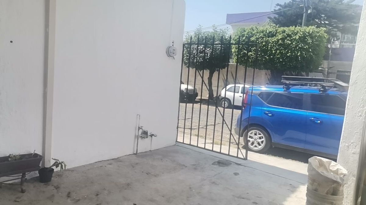 7 de 12