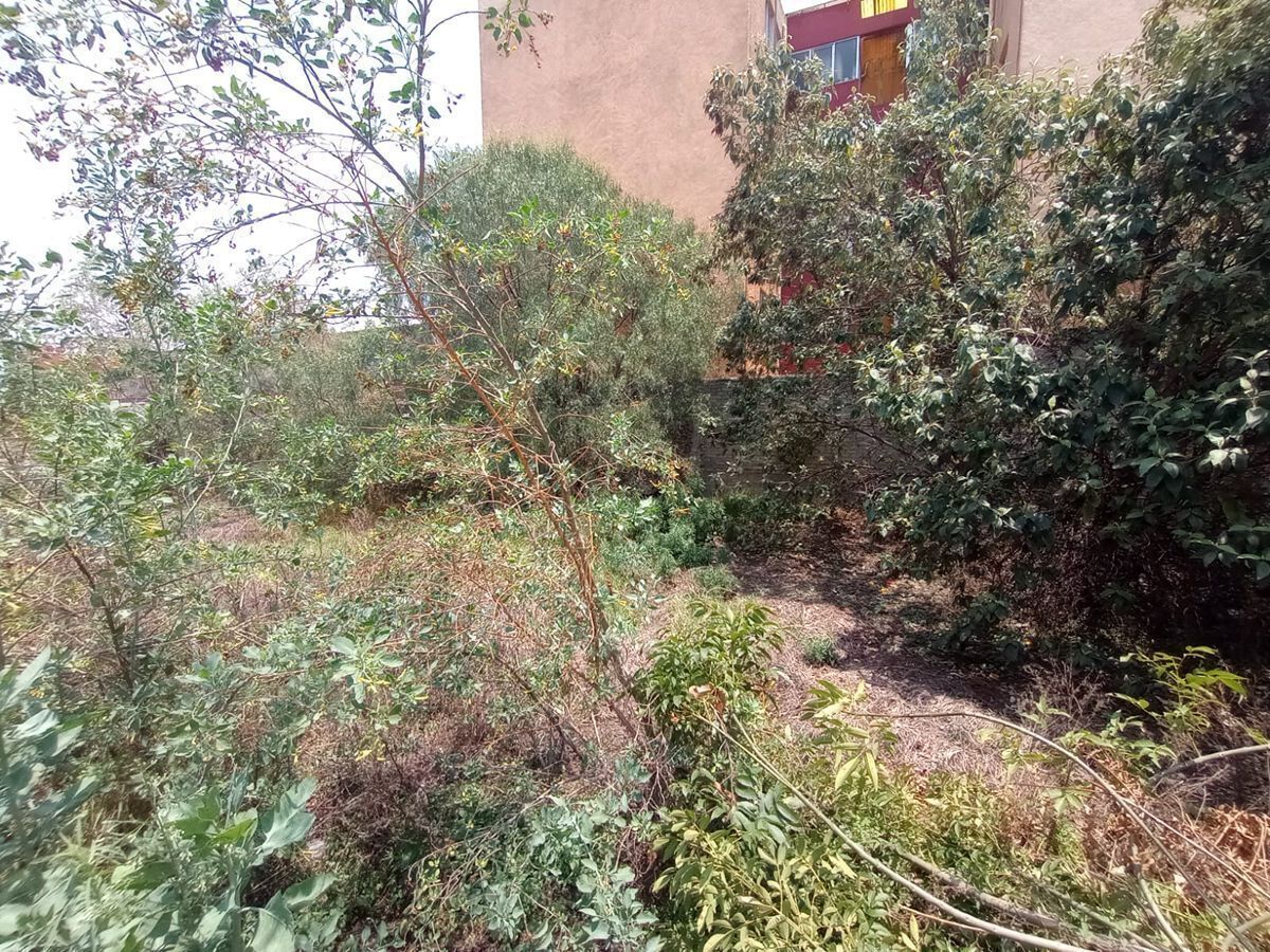 8 de 11: Terreno en Venta en Alcaldía Gustavo A. Madero Rayo Vende ®