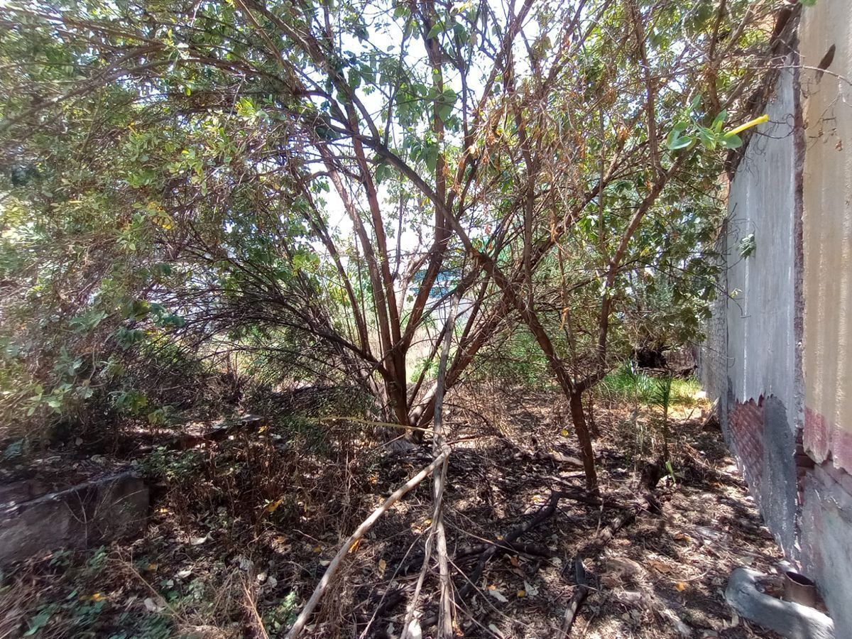 10 de 11: Terreno en Venta en Alcaldía Gustavo A. Madero Rayo Vende ®