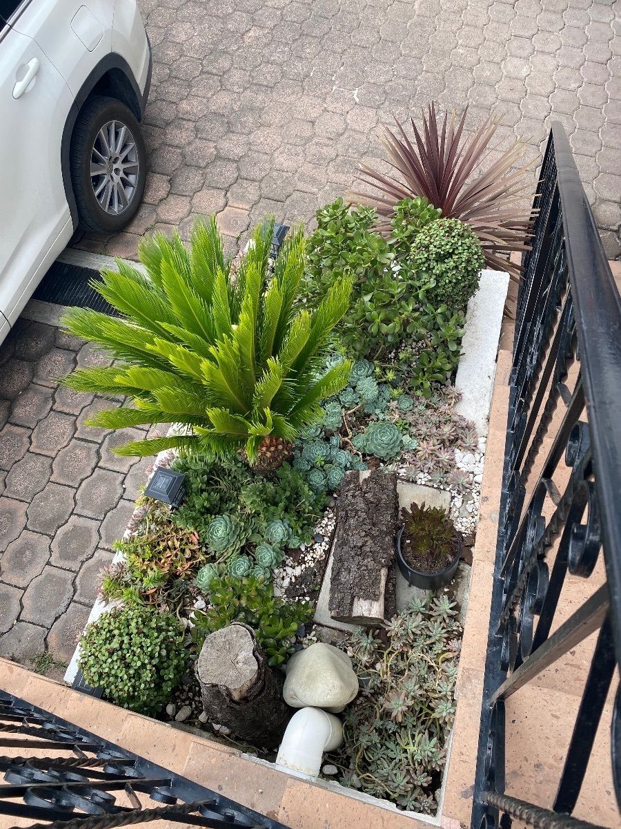 Jardinera en escaleras frontales