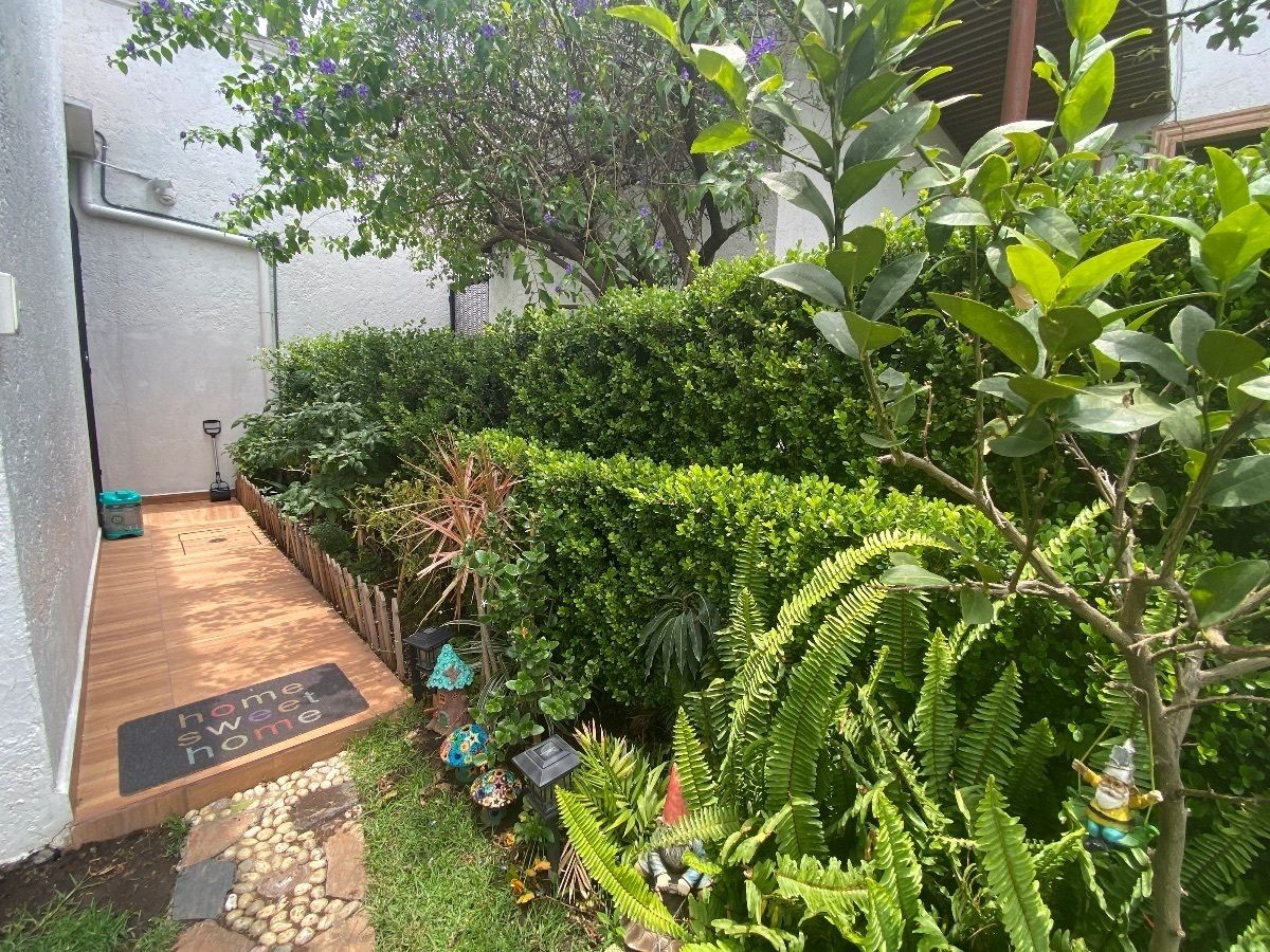 Jardín lateral