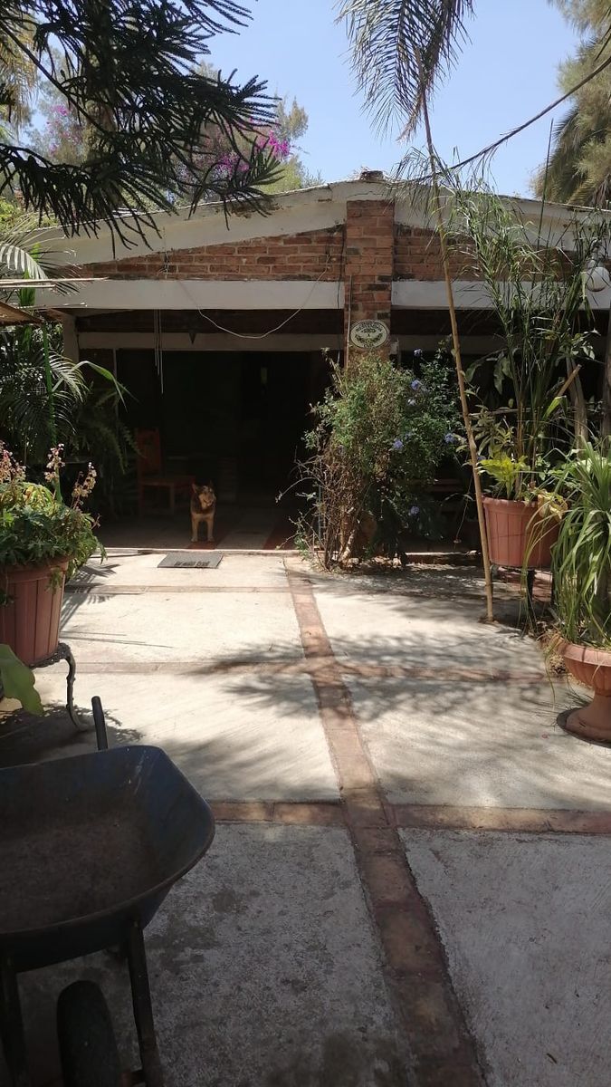 20 de 30: finca principal